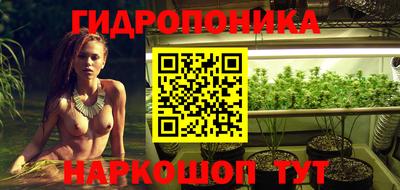 стафф Славянск-на-Кубани