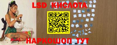 apvp Славгород
