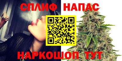 apvp Славгород