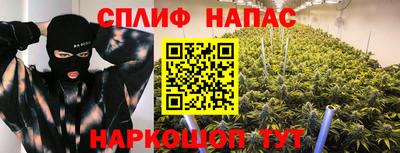apvp Славгород