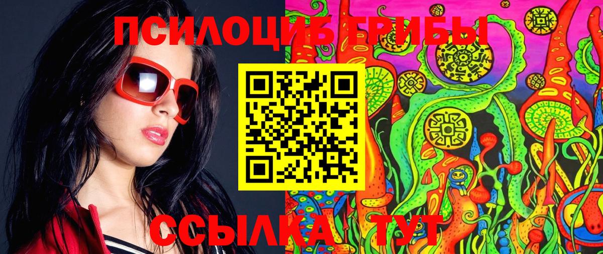 Новый Уренгой  Псилоцибиновые грибы Psilocybine cubensis  где продают наркотики  Вход с VPN 